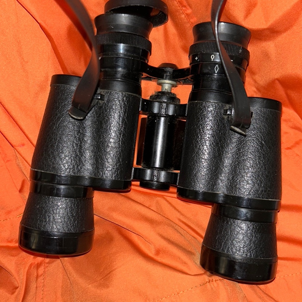 BUSHNELL binoculars w Case